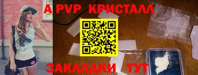 дмт Кингисепп