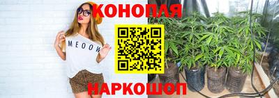 дмт Кингисепп