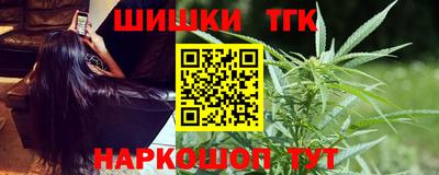 дмт Кингисепп